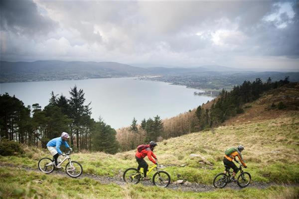Hotel East Coast Adventure Centre Glamping Rostrevor Zewnętrze zdjęcie