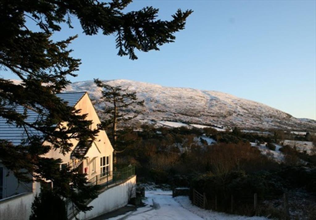 Hotel East Coast Adventure Centre Glamping Rostrevor Zewnętrze zdjęcie