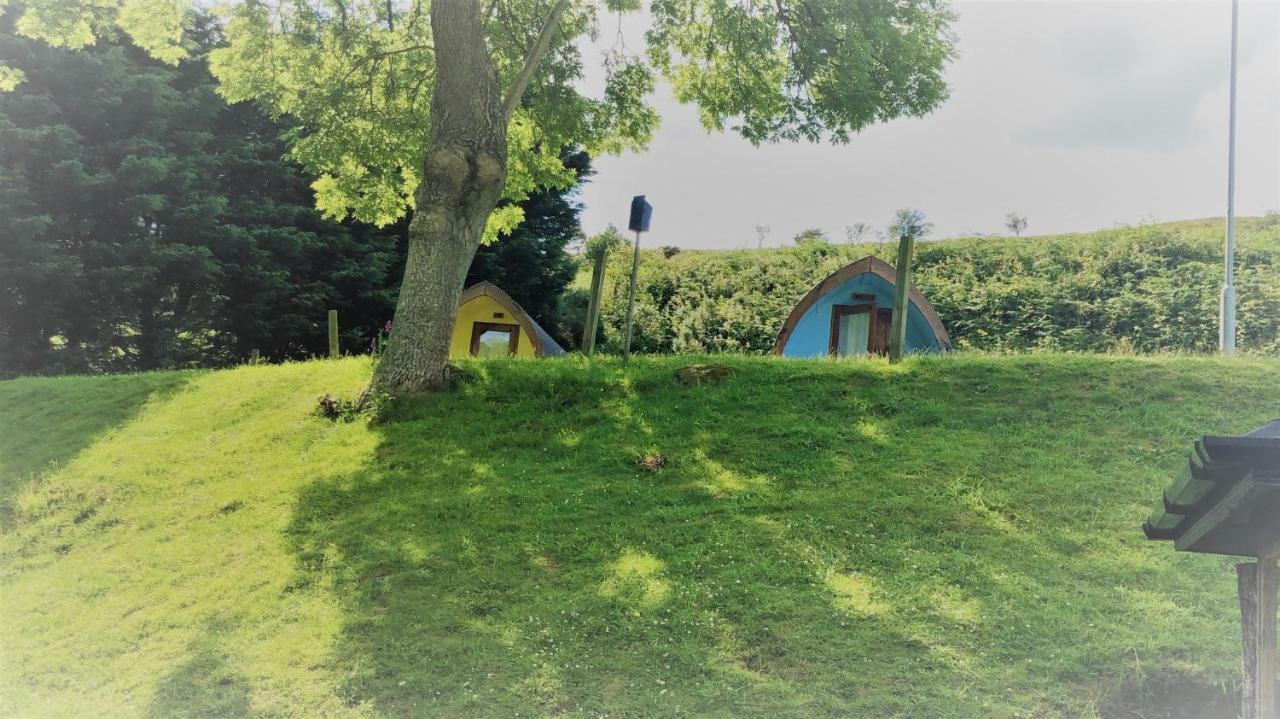Hotel East Coast Adventure Centre Glamping Rostrevor Zewnętrze zdjęcie