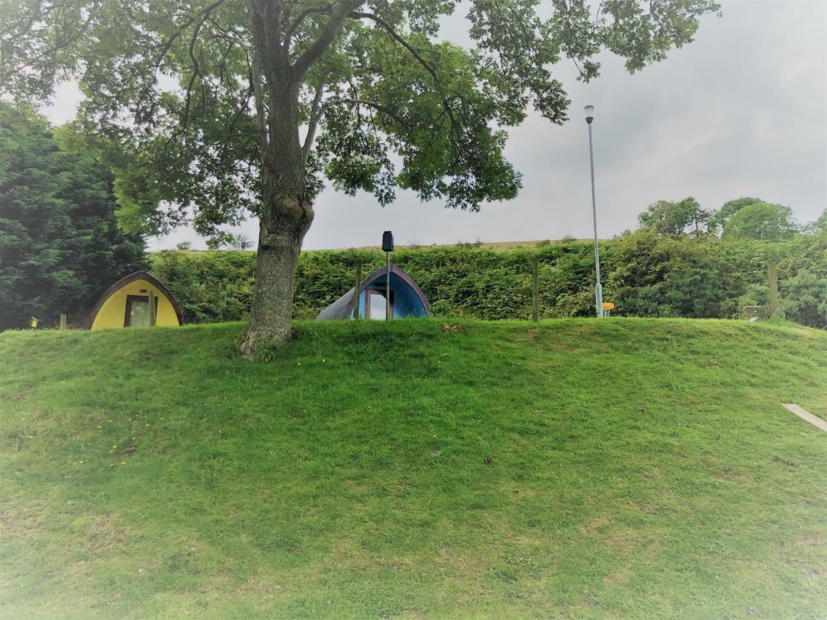 Hotel East Coast Adventure Centre Glamping Rostrevor Zewnętrze zdjęcie