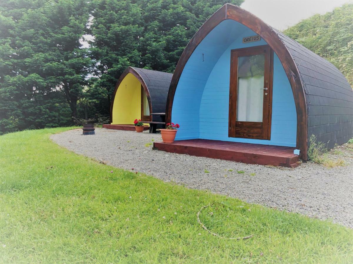 Hotel East Coast Adventure Centre Glamping Rostrevor Zewnętrze zdjęcie