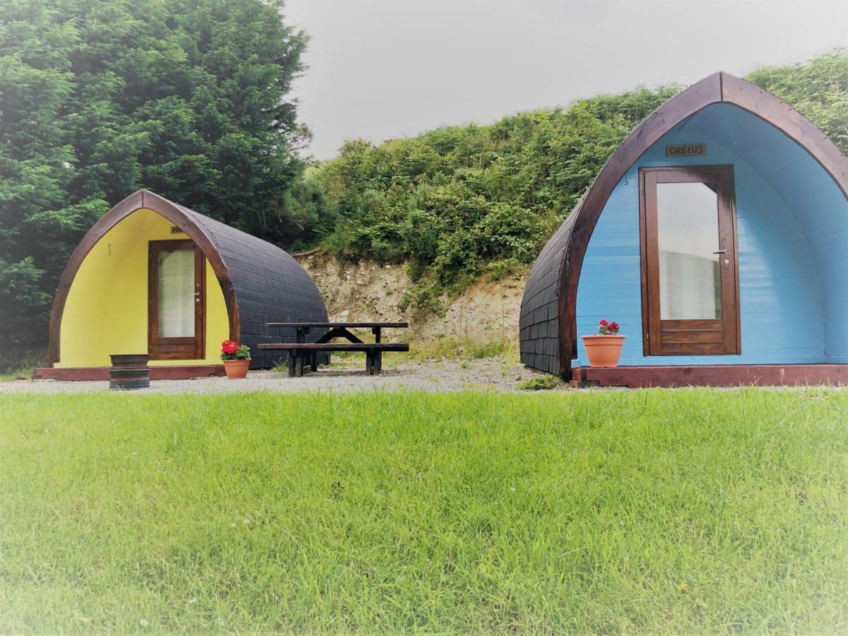 Hotel East Coast Adventure Centre Glamping Rostrevor Zewnętrze zdjęcie
